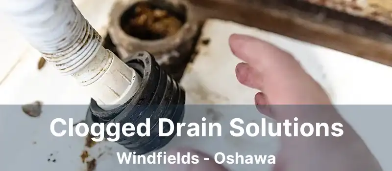  Clogged Drain Solutions Windfields - Oshawa